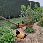 Haus - Pantenburg Nocleg ze śniadaniem Manderscheid