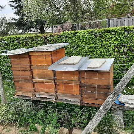 Haus - Pantenburg Manderscheid