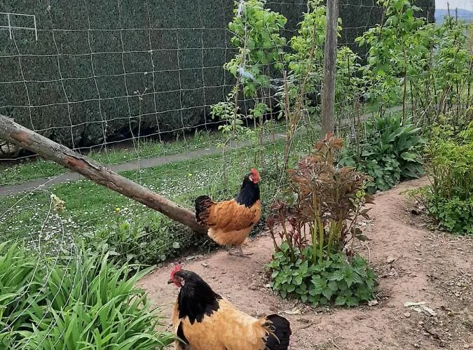 Haus - Pantenburg ベッド・アンド・ブレックファスト マンダーシャイト