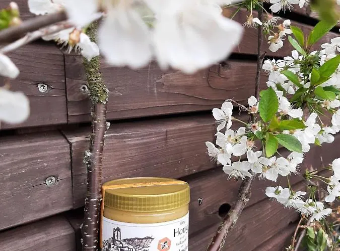 Haus - Pantenburg ベッド・アンド・ブレックファスト マンダーシャイト