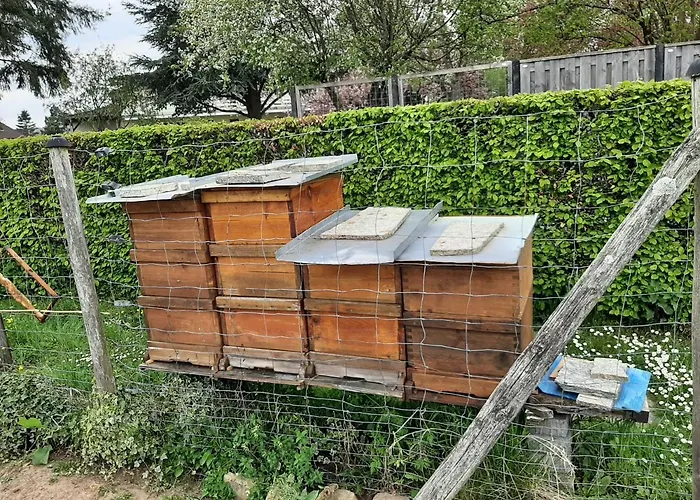 Haus - Pantenburg マンダーシャイト