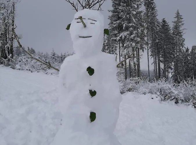 Haus - Pantenburg 3*